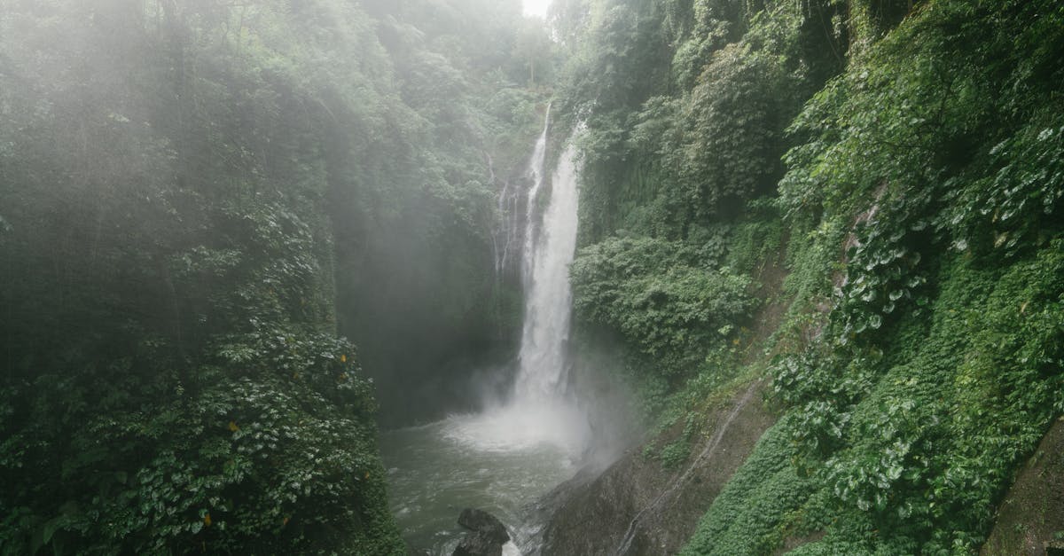 découvrez notre guide de voyage complet sur bali, l'île des dieux. explorez ses plages paradisiaques, ses rizières luxuriantes, sa culture fascinante et ses attractions incontournables. préparez votre séjour inoubliable à bali avec des conseils pratiques, des recommandations d'hébergement et des astuces pour profiter pleinement de cette destination de rêve.