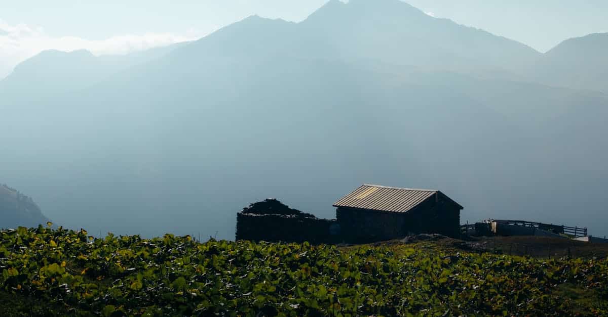 découvrez comment voyager de manière écoresponsable avec nos conseils pratiques et destinations durables. explorez le monde tout en préservant notre planète grâce à des choix de transport respectueux et des hébergements écoresponsables.