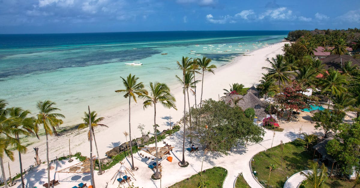 découvrez zanzibar, l'île paradisiaque de tanzanie, où plages de sable blanc, eaux turquoise et culture vibrante vous attendent. explorez ses marchés colorés, ses épices exotiques et son histoire fascinante pour vivre une expérience inoubliable.