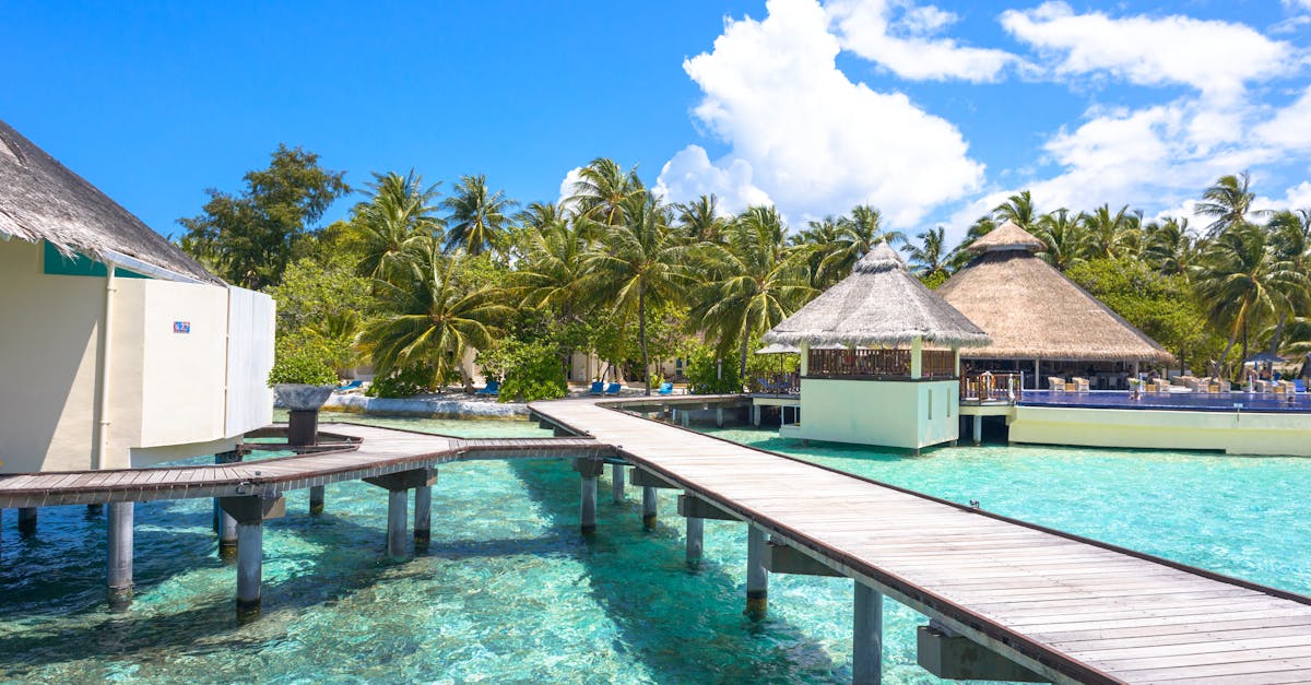 découvrez les maldives, un paradis tropical offrant des plages de sable blanc, des eaux turquoise cristallines et une biodiversité marine exceptionnelle. évadez-vous dans ce refuge idyllique pour des vacances inoubliables mêlant détente, aventure et luxe.