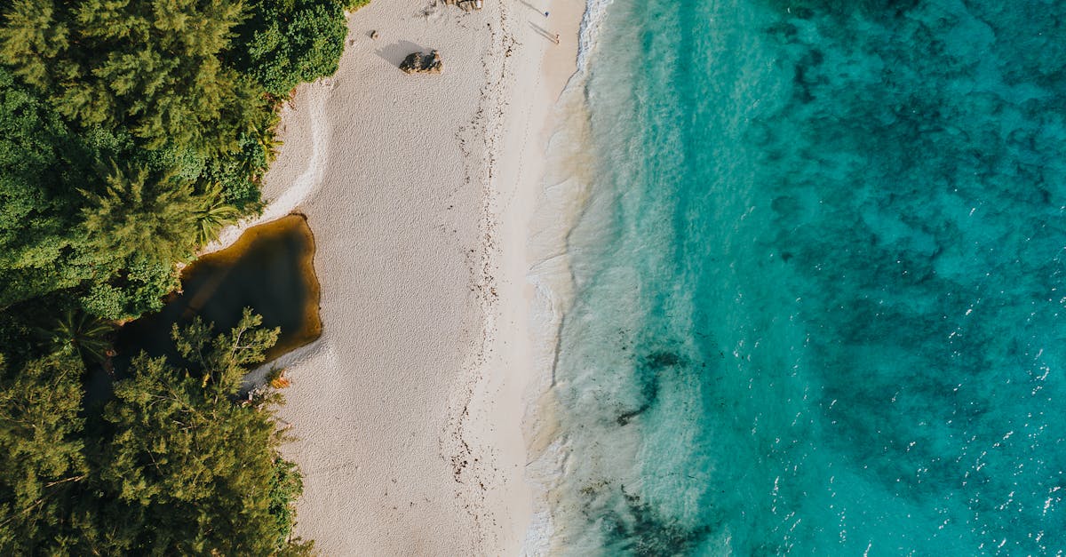 découvrez l'archipel paradisiaque des seychelles, célèbre pour ses plages de sable fin, ses eaux turquoise et sa biodiversité exceptionnelle. explorez des îles tropiques, admirez des paysages à couper le souffle et plongez dans une culture riche et accueillante.