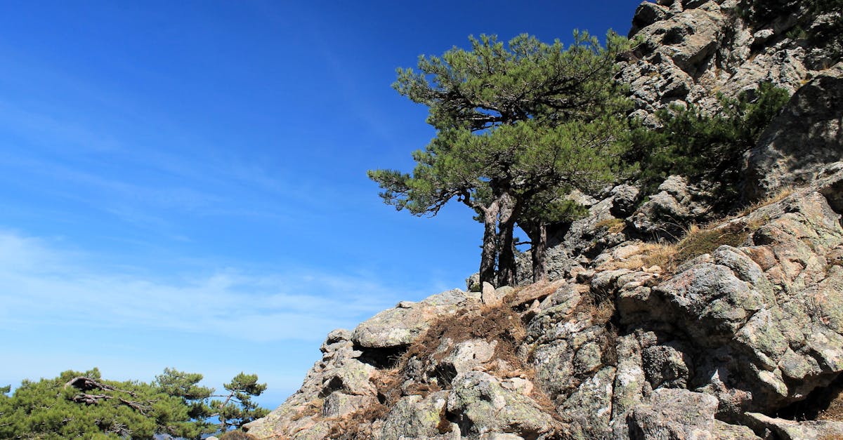 découvrez la beauté envoûtante de la corse, une île méditerranéenne riche en paysages époustouflants, plages idylliques et traditions authentiques. explorez ses villages pittoresques, ses montagnes majestueuses et plongez dans la culture corse unique.