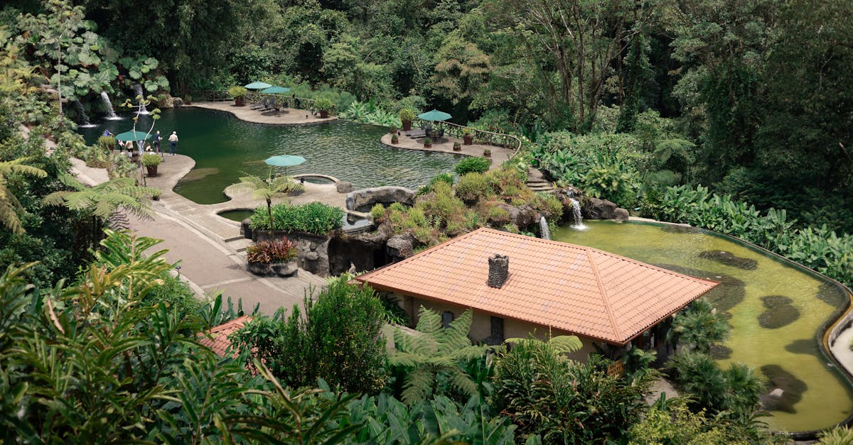 découvrez le costa rica, un paradis d'écotourisme ! explorez ses plages idylliques, ses volcans majestueux et sa biodiversité unique. planifiez votre voyage dès maintenant pour une aventure inoubliable au cœur de la nature.