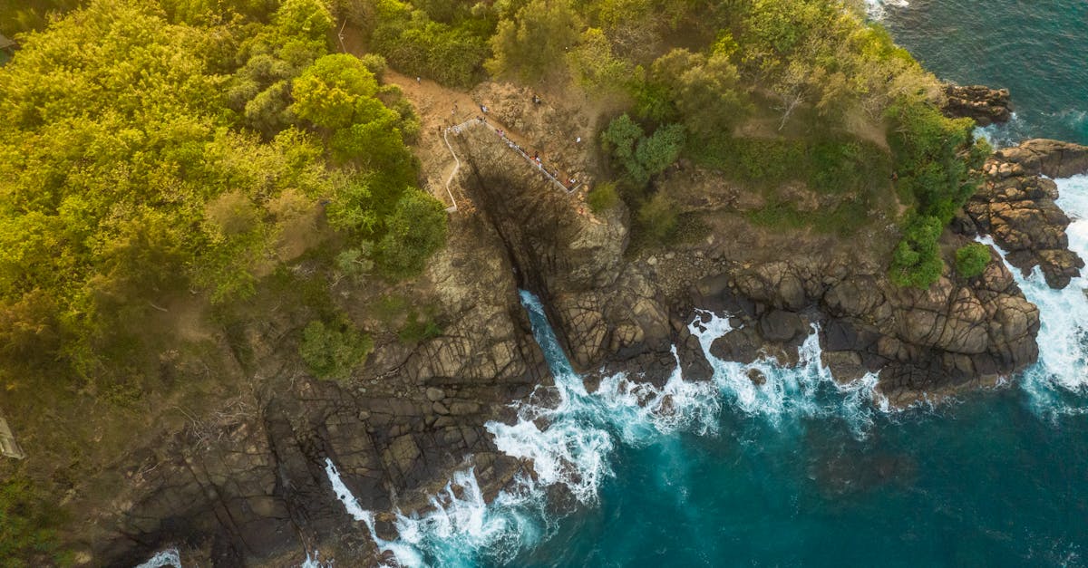 découvrez les merveilles du sri lanka, une île fascinante d'asie du sud. explorez ses plages dorées, ses plantations de thé verdoyantes, sa faune incroyable et son riche patrimoine culturel. préparez votre aventure inoubliable au cœur du pays du sourire.