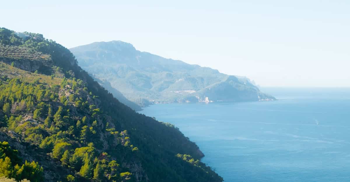 découvrez majorque, une île enchanteresse des baléares, qui offre des plages de sable doré, des eaux turquoise, une riche culture historique et une gastronomie méditerranéenne savoureuse. parfait pour des vacances inoubliables entre détente et aventures.