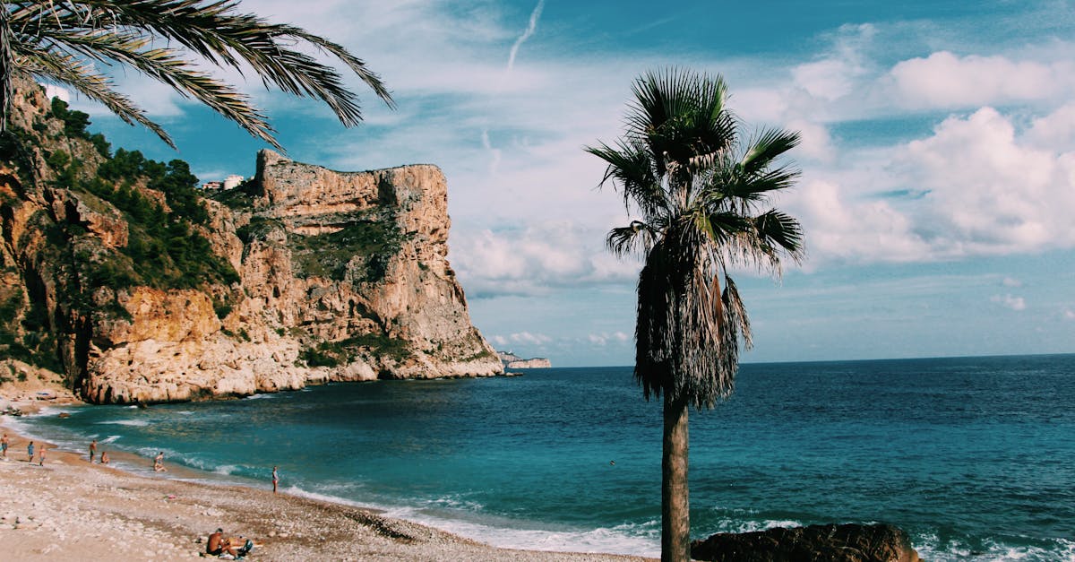 découvrez l'espagne, un pays vibrant riche en histoire, culture, et paysages époustouflants. profitez de ses plages ensoleillées, de sa gastronomie délicieuse, et de l'hospitalité de ses habitants. plongez dans l'art, la musique, et les traditions qui font de l'espagne une destination incontournable.