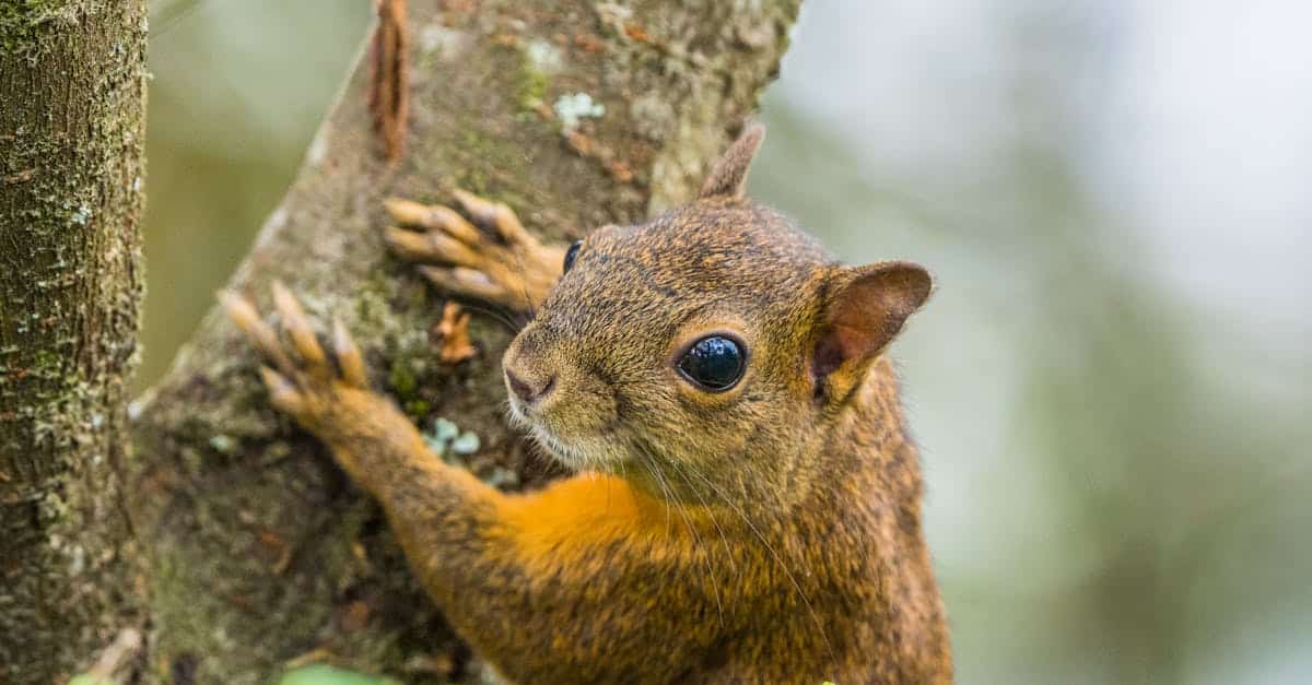 découvrez la colombie, un pays vibrant aux paysages variés, riche en culture, en histoire et en biodiversité. explorez ses villes colorées, ses plages ensoleillées et sa gastronomie savoureuse. partez à l'aventure dans les andes, la jungle amazonienne et les caraïbes colombiennes.