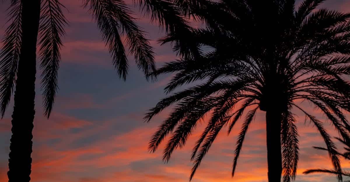 découvrez les îles baléares, un paradis méditerranéen réputé pour ses plages paradisiaques, sa culture vibrante et sa vie nocturne animée. profitez de paysages à couper le souffle, de charmants villages et d'activités nautiques inoubliables sur ces joyaux espagnols.