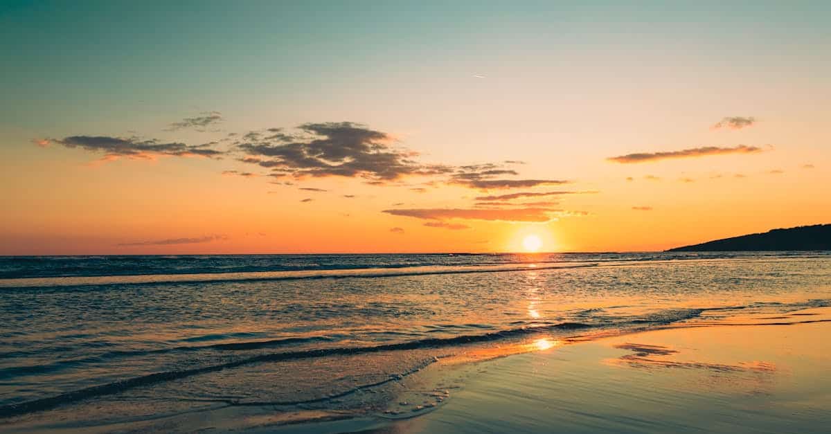 découvrez la beauté de la jamaïque, une île des caraïbes célèbre pour ses plages de sable blanc, sa musique reggae vibrante et sa culture riche. explorez des paysages à couper le souffle, des récifs coralliens et savourez une cuisine délicieuse inspirée des traditions locales.